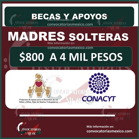 ayudas para madres solteras en miami|Alimentos, Dinero en Efectivo y Médicos